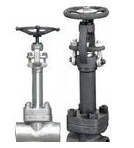 鍛鋼低(dī)溫截止閥 鍛鋼低溫截止閥