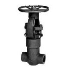 鍛鋼波紋管閘閥