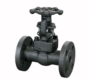 鍛鋼法蘭（lán）閘（zhá）閥