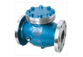 夾（jiá）套保（bǎo）溫止回閥