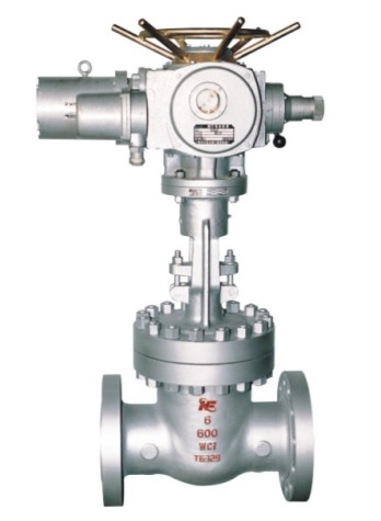 電動美標（biāo）閘閥