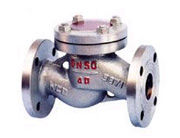 天然氣升降式止（zhǐ）回閥（fá）