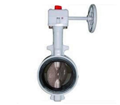 蝸輪防(fáng)結露蝶閥 蝸(wō)輪防結露蝶閥