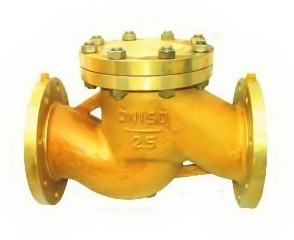 氧氣專用止回閥