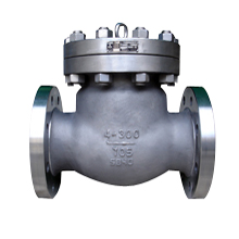 旋啟式鈦止回閥