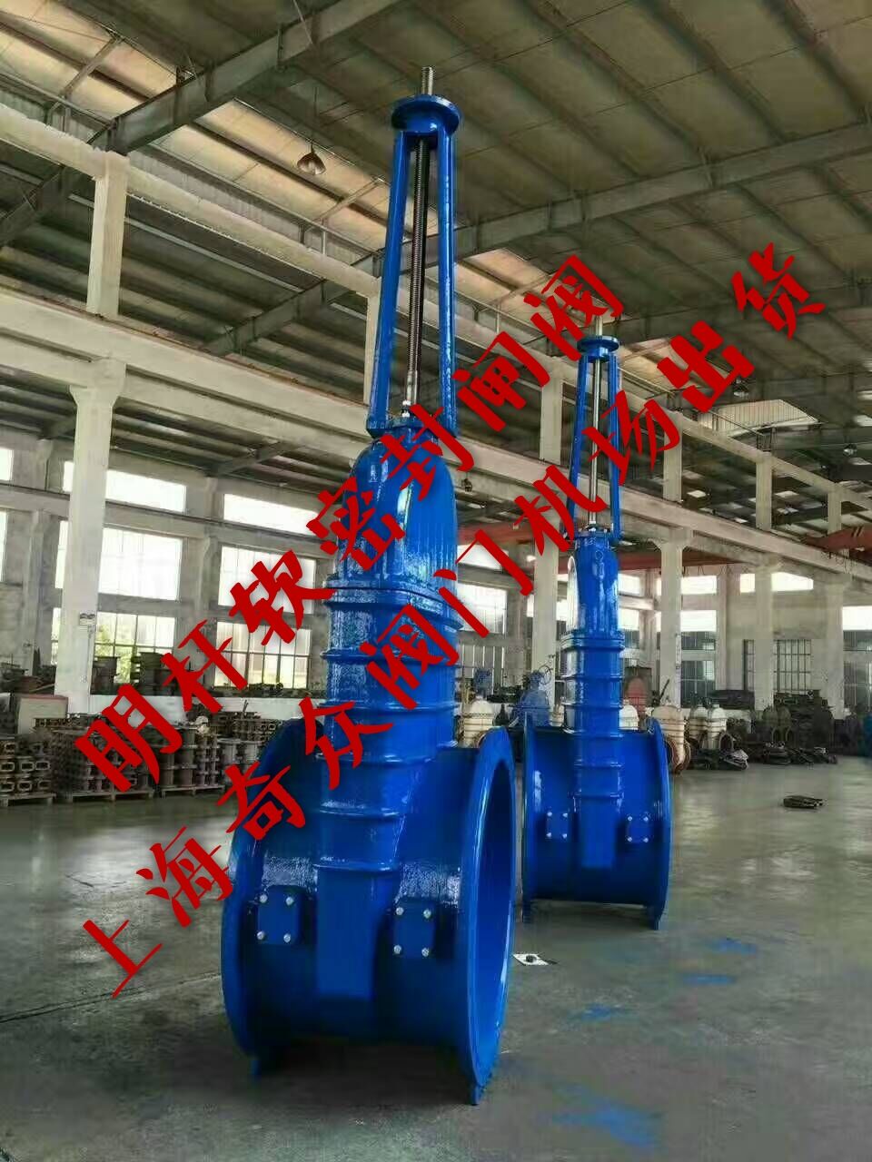 明杆（gǎn）球墨鑄鐵軟密封閘閥