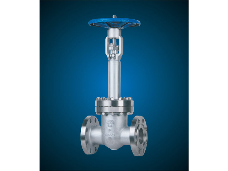 不鏽鋼低溫閘(zhá)閥