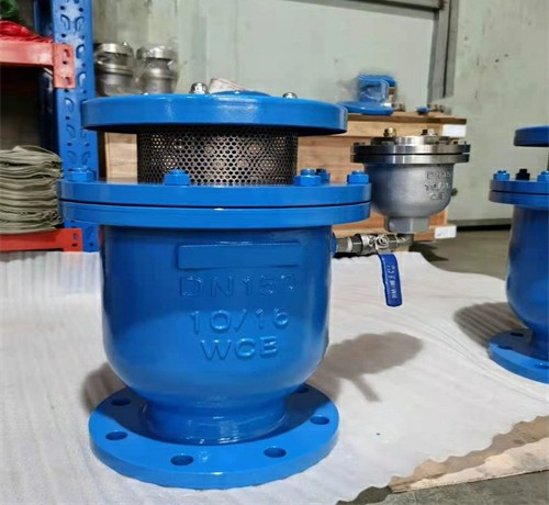 卷簾式複合排氣閥