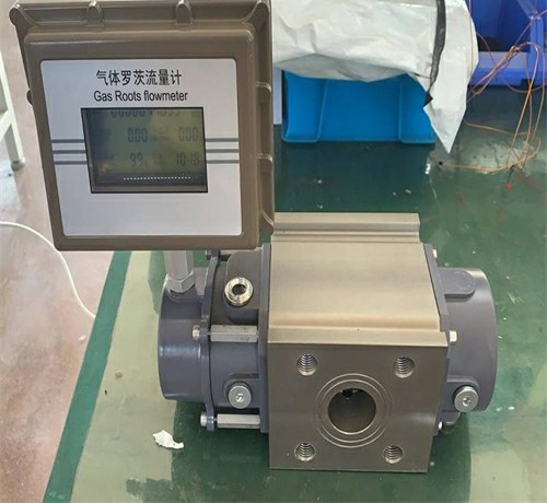 腰輪羅茨（cí）流量（liàng）計